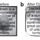 Illustration for article titled Biggest Scientific Breakthroughs of 2013
